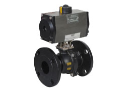 2 Piece Ball Valve