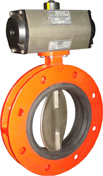 Double Flanged Butterfly Valve 