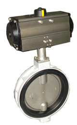 Kitz Butterfly Valve